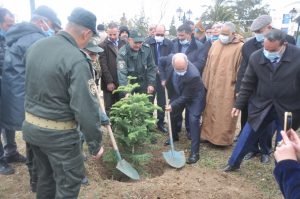 Read more about the article حملة تشجير بمناسبة اليوم العالمي للغابات