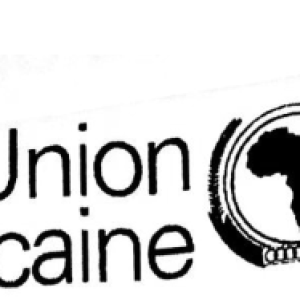 Appel à contribution à la revue de l’Union Africaine  AU ECH