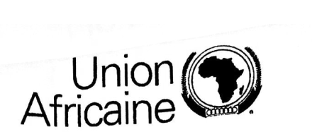 You are currently viewing Appel à contribution à la revue de l’Union Africaine  AU ECH
