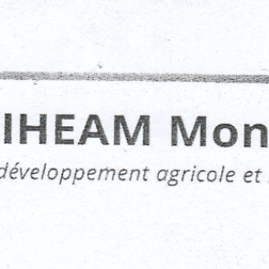Offre de bourses d’études de l’Institut Agronomique Méditerranéen de Montpellier (IAMM)