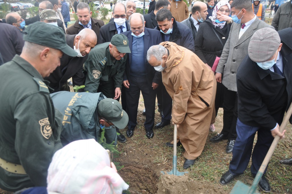 Afforestation campaign on the occasion of the International Day of Forests
